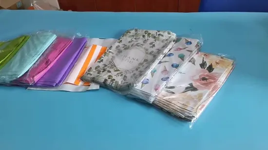 Bolsa de embalaje de correo exprés de plástico Bolsa PE Polymailer